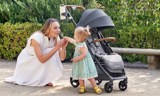 Ergobaby Metro Deluxe stroller