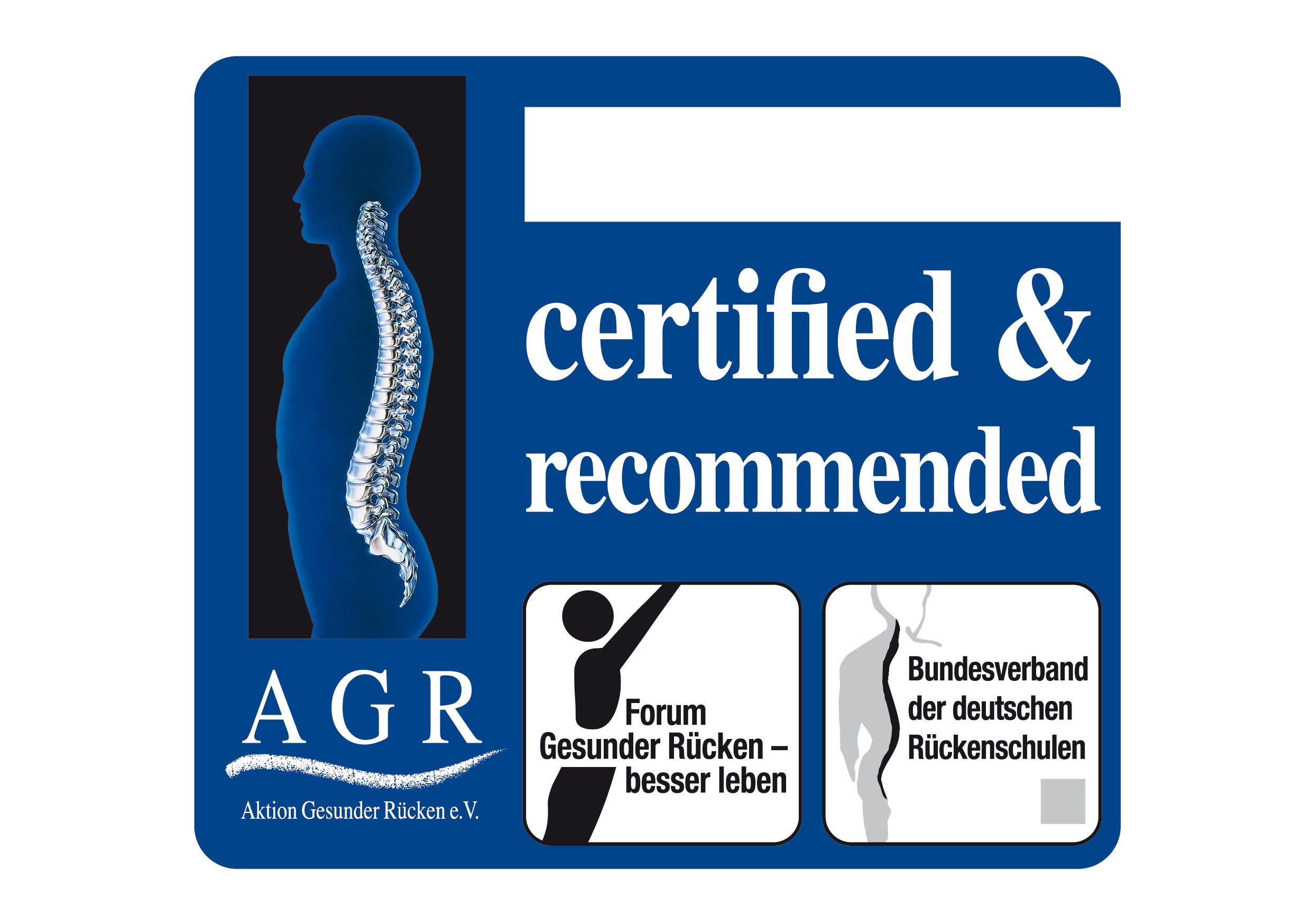 The Campaign for Healthier Backs (AGR) awards Ergobaby carriers its coveted seal of approval